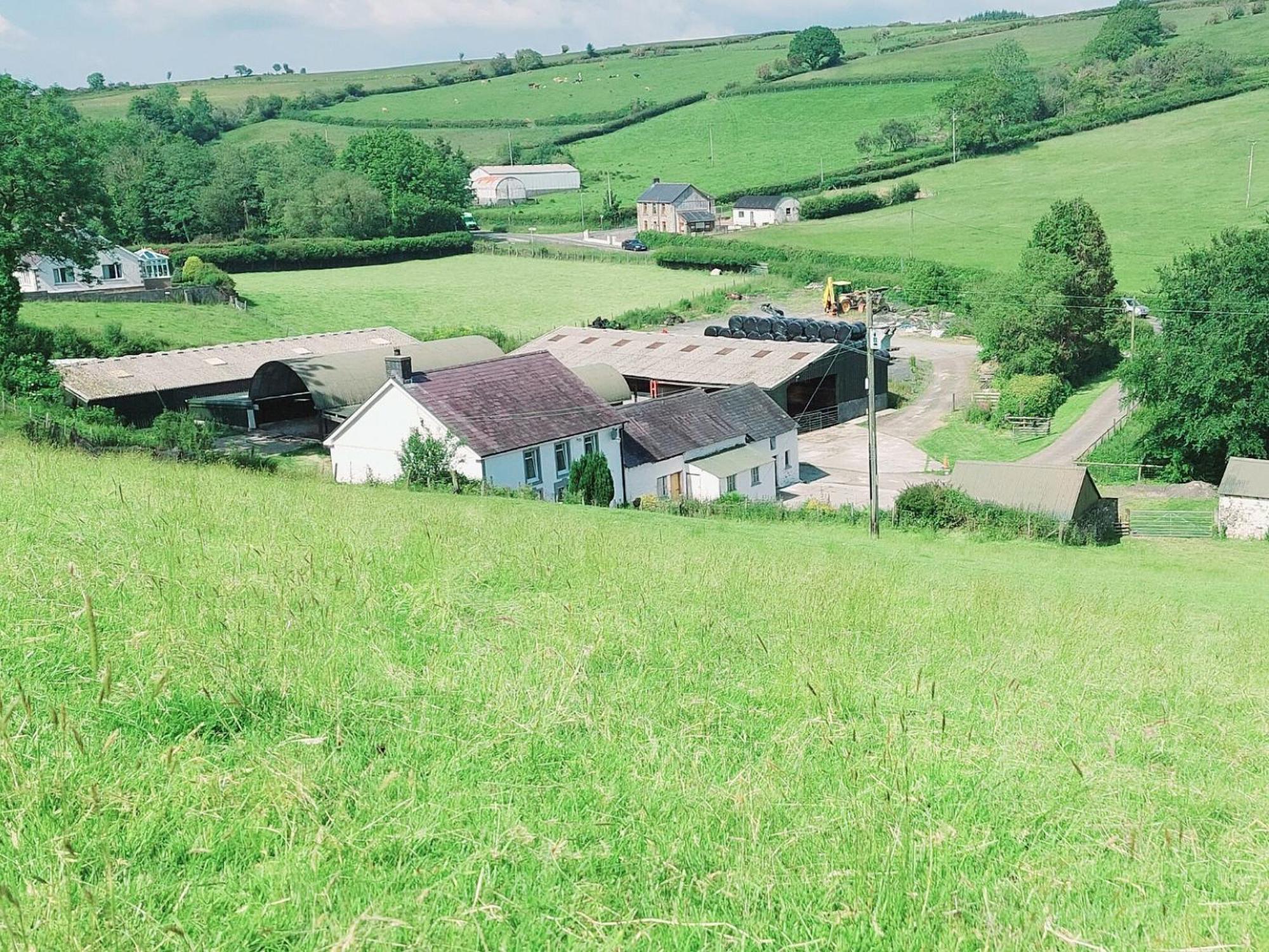 Typicca Farmhouse Brechfa Bagian luar foto